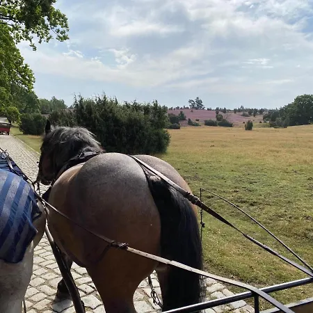 Apartmán Huus Utspann Mit Terrasse - 23 Km Vor Hamburg - *