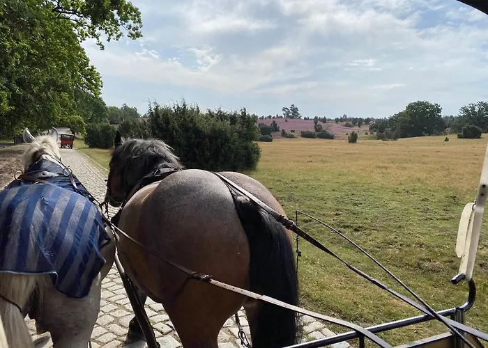 Daire Huus Utspann Mit Terrasse - 23 Km Vor Hamburg - *